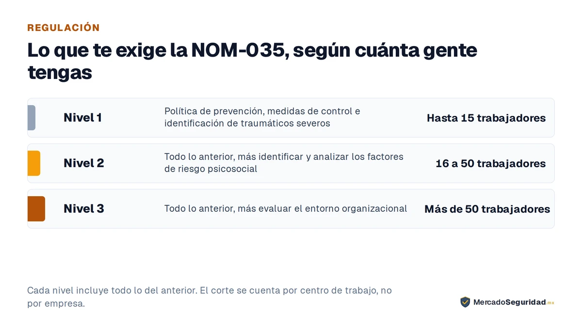 Las obligaciones de la NOM-035 escalan en tres niveles según el número de trabajadores del centro de trabajo. Nivel 1, centros de trabajo con hasta 15 trabajadores: establecer y difundir una política de prevención de riesgos psicosociales, adoptar medidas para prevenir y controlar los factores de riesgo psicosocial, e identificar a los trabajadores sujetos a acontecimientos traumáticos severos como asaltos o robos con violencia. Nivel 2, centros con 16 a 50 trabajadores: todo lo anterior más la identificación y análisis de los factores de riesgo psicosocial. Nivel 3, centros con más de 50 trabajadores: todo lo de los niveles 1 y 2, más la evaluación del entorno organizacional. El corte se cuenta por centro de trabajo, no por empresa.